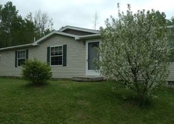 Foreclosure in  PLEASANT VALLEY RD Atlanta, MI 49709