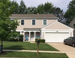 Foreclosure in  BRIAN AVE Schaumburg, IL 60194