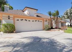 Foreclosure in  BASSWOOD ST Land O Lakes, FL 34639