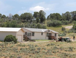 Foreclosure Listing in DERBY DR DURANGO, CO 81303