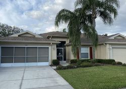 Foreclosure Listing in ACADIA GREENS DR SUN CITY CENTER, FL 33573