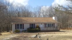 Foreclosure Listing in KATU TRL ALBRIGHTSVILLE, PA 18210