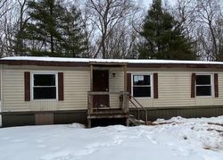 Foreclosure in  E LOGAN BLVD Idlewild, MI 49642