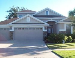 Foreclosure in  DORMAN RD Lithia, FL 33547