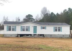 Foreclosure in  BLIND BRIDGE RD Magnolia, NC 28453
