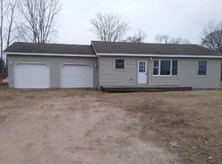 Foreclosure in  N JOHNSON RD Weidman, MI 48893