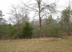Foreclosure Listing in TRUSS FERRY RD LINCOLN, AL 35096