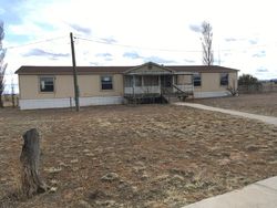 Foreclosure Listing in TYLER LOOP MORIARTY, NM 87035