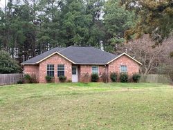 Foreclosure Listing in COUNTY ROAD 1123 DAINGERFIELD, TX 75638