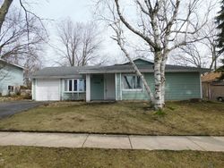 Foreclosure Listing in NIVEN LN HANOVER PARK, IL 60133