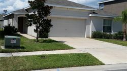 Foreclosure in  CLIMBING DAYFLOWER DR Ruskin, FL 33570