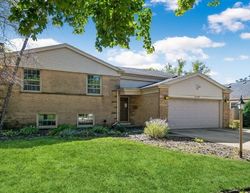 Foreclosure in  BONITA DR Park Ridge, IL 60068