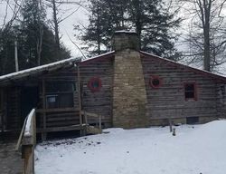 Foreclosure in  ROUTE 219 Limestone, NY 14753