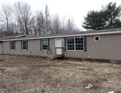 Foreclosure in  MAKINEN RD Kaleva, MI 49645