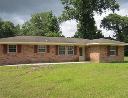 Foreclosure Listing in FERNE DR PORTER, TX 77365