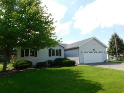 Foreclosure Listing in LONGLANE RD NEW LENOX, IL 60451