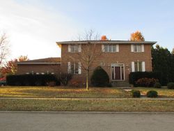 Foreclosure in  BEECH LN New Lenox, IL 60451