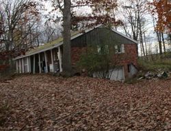 Foreclosure in  DUNNSVILLE RD Altamont, NY 12009