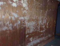 Foreclosure in  MARYLAND ST Detroit, MI 48224
