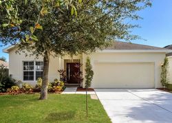 Foreclosure in  FERN BLOSSOM DR Gibsonton, FL 33534