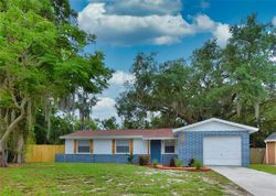 Foreclosure Listing in BEECHWOOD BLVD TAMPA, FL 33619