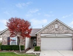 Foreclosure in  VIOLA CT Indianapolis, IN 46237