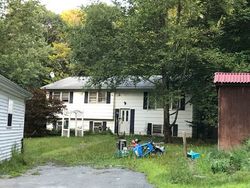 Foreclosure Listing in HILLTOP RD GRAHAMSVILLE, NY 12740