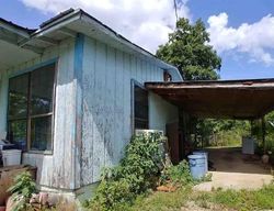 Foreclosure in  LEWIS LAKE LN Pell City, AL 35125