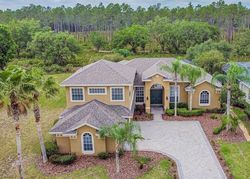 Foreclosure in  CORY LAKE DR Tampa, FL 33647
