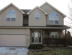 Foreclosure in  SHANNON LN New Lenox, IL 60451