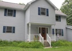 Foreclosure Listing in BARK LN KUNKLETOWN, PA 18058