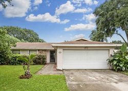 Foreclosure in  LADY BUG CT Tampa, FL 33625