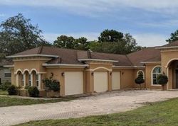 Foreclosure Listing in RIDGE TOP LOOP BROOKSVILLE, FL 34613