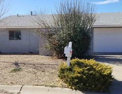 Foreclosure Listing in LOST TRAIL RD ROSWELL, NM 88201