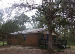 Foreclosure in  SW COUNTY ROAD 379 Bristol, FL 32321