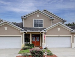 Foreclosure Listing in SAVANNAH LANDINGS AVE VALRICO, FL 33596