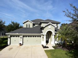 Foreclosure in  CYPRESS CROSSING CT Tampa, FL 33647