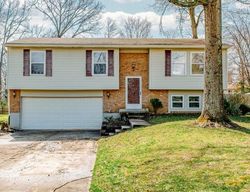 Foreclosure in  PINE FOREST DR Amelia, OH 45102