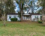 Foreclosure Listing in SE 148TH ST SUMMERFIELD, FL 34491