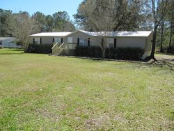 Foreclosure Listing in BLUEJAY DR MIDDLEBURG, FL 32068