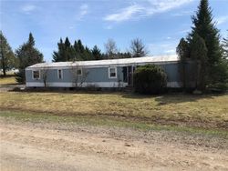 Foreclosure Listing in PHELPS RD REMSEN, NY 13438