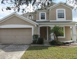 Foreclosure Listing in MISTY ISLE LN RIVERVIEW, FL 33579