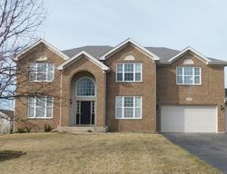 Foreclosure in  RIVER BIRCH DR Schaumburg, IL 60192