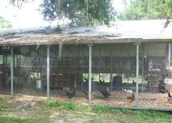 Foreclosure in  NW 110TH AVE Reddick, FL 32686