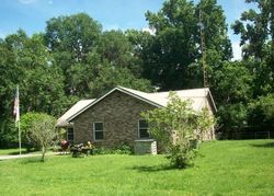 Foreclosure Listing in NW 110TH AVE REDDICK, FL 32686