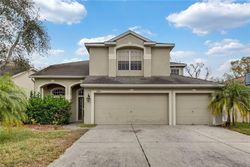 Foreclosure Listing in HASTINGS WAY LAND O LAKES, FL 34639