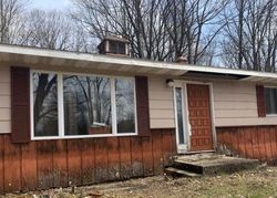 Foreclosure in  N AL MOSES RD Lake City, MI 49651