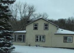 Foreclosure in  W RIVERSIDE DR Ionia, MI 48846