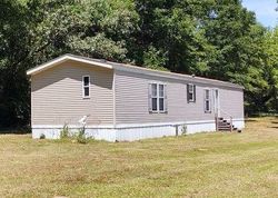 Foreclosure in  ORVISBURG RD Poplarville, MS 39470