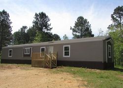 Foreclosure in  BIG BUCK TRL Guntown, MS 38849